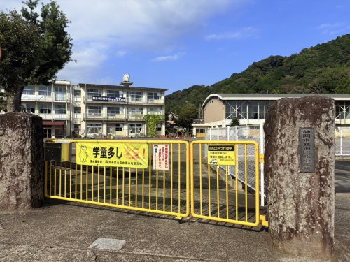 の画像