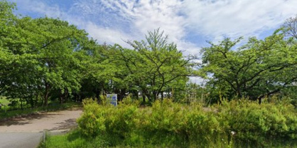 土淵川西田緑地の画像1