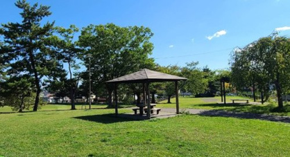 桜ヶ丘中央公園の画像1