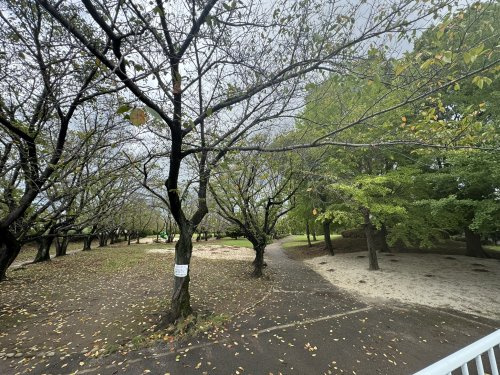 公園 一ノ割公園