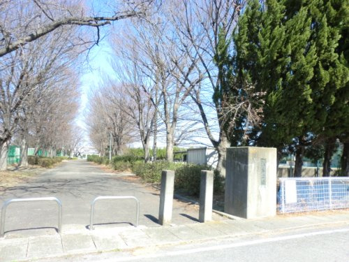 伊勢崎市坂東公園グランドの画像