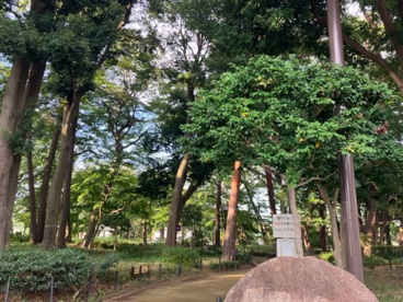 塚山公園の画像2