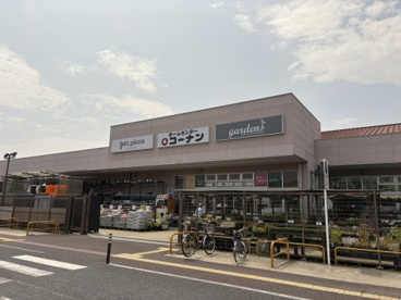ホームセンターコーナン南芦屋浜店の画像1