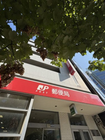 外苑前郵便局の画像1