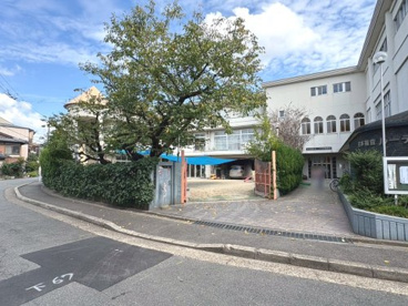 メグミ幼児園の画像1