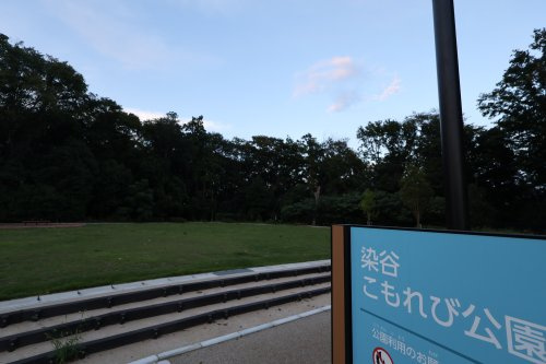 染谷こもれび公園の画像