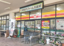 スーパー 朝採れファーム 高麗郷