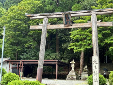 地主神社の画像1