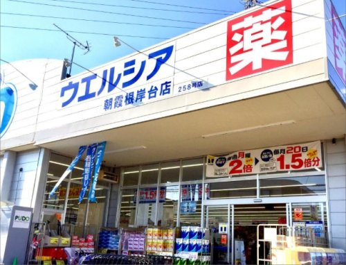 の画像