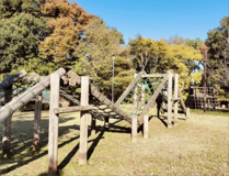 根岸台自然公園