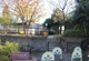 たんぽぽ公園の画像