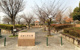 本地ケ原公園の画像