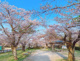 飯能中央公園の画像