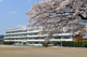 飯能市立富士見小学校の画像