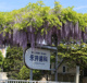 永井歯科の画像