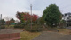 こぶし公園の画像