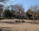 北の台公園の画像