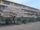青葉小学校の画像