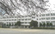大和市立緑野小学校の画像