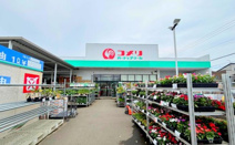 コメリ ハード＆グリーン平塚真田店