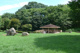 草花公園の画像