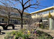 保育園 拝島保育園