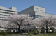 群馬大学医学部附属病院 眼科、消化器内科病棟の画像