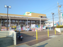 ドラッグストアサーバ宝塚南店