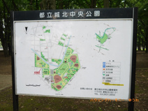 東京都立　城北中央公園