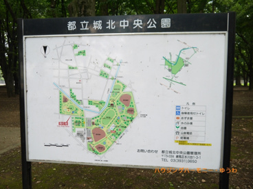 東京都立　城北中央公園の画像1