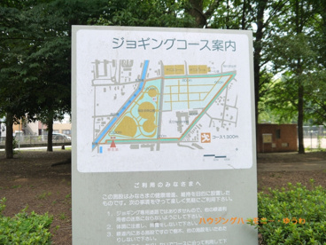 東京都立　城北中央公園の画像3