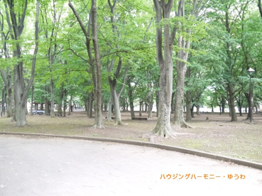 東京都立　城北中央公園の画像4