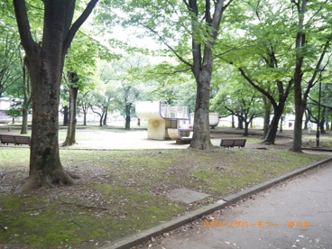 東京都立　城北中央公園の画像5