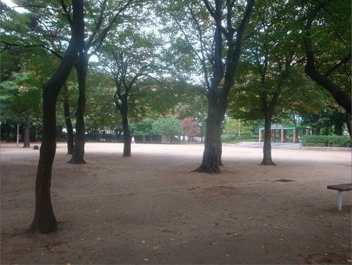 大泉公園の画像