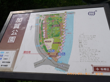 板橋区立 加賀公園の画像2
