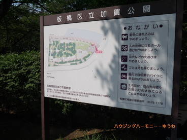 板橋区立 加賀公園の画像4