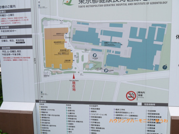 東京都健康長寿医療センターの画像2