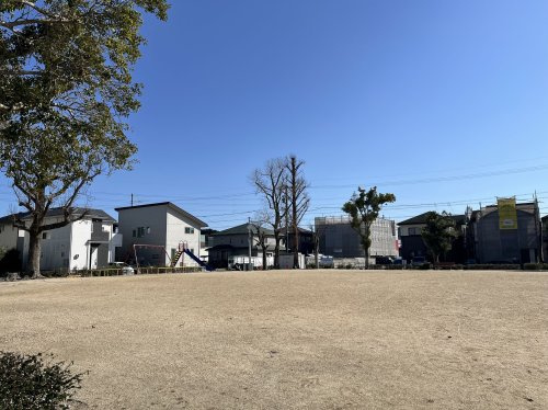 の画像