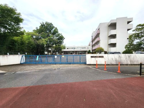 城南小学校の画像