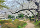 豊島区立池袋本町公園の画像
