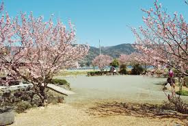 ふくざわ公園の画像1