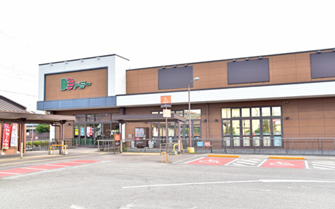 ドミー福岡店