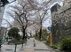 五反田公園の画像