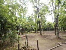 中央緑地公園