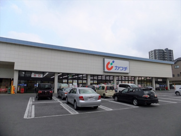 カワチ薬品　今泉店の画像2