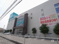 ニトリ・大東諸福店の画像1
