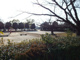 井田公園の画像