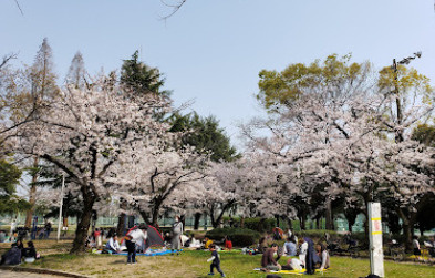 中の島公園の画像1