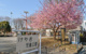 けやき児童公園の画像