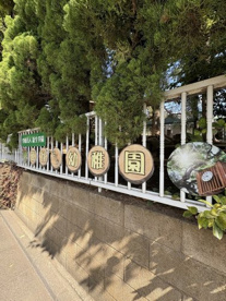 鴬谷さくら幼稚園の画像1